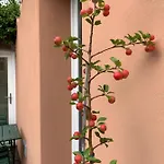 Bed & Breakfast Casabella-lago Maggiore Lesa