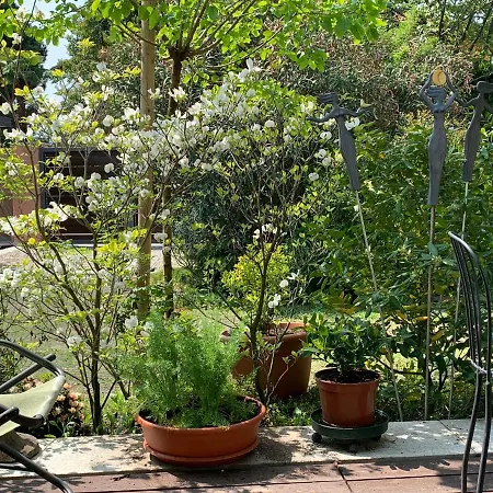 Casabella-lago Maggiore Bed & Breakfast Lesa