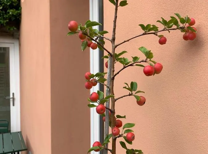 Oda ve Kahvaltı Casabella-lago Maggiore Lesa
